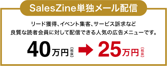 【初回限定】SalesZine単独メール 40万円(税抜) → 35万円(税抜)